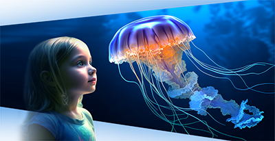 强力巨彩LED显示屏