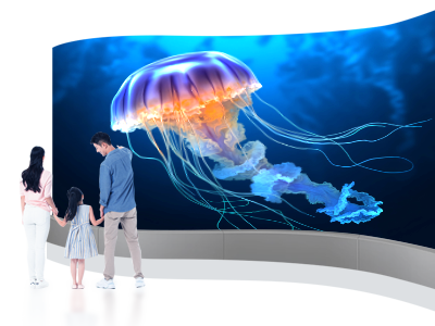 轻量化底壳设计