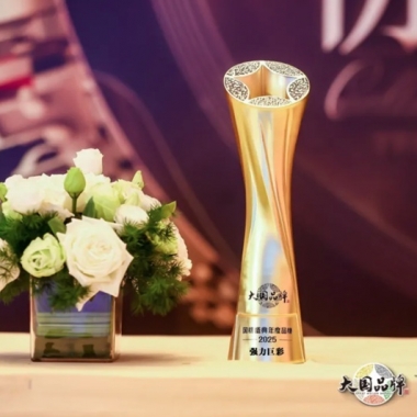 协作与交响 - 强力巨彩荣膺央视2025《大国品牌》国牌盛典年度品牌