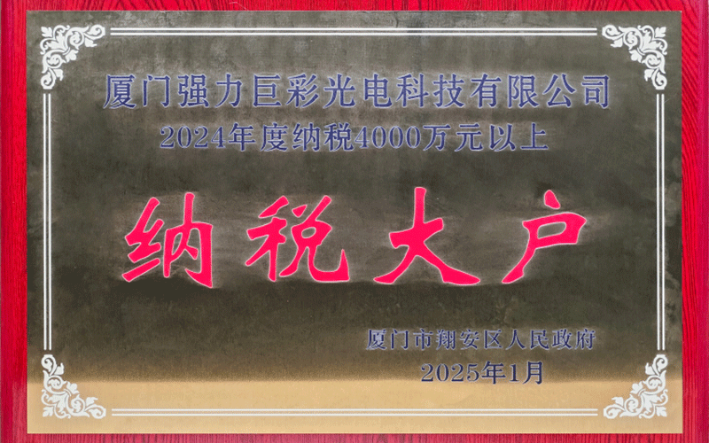 2024年度纳税大户